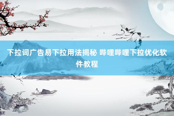 下拉词广告易下拉用法揭秘 哔哩哔哩下拉优化软件教程