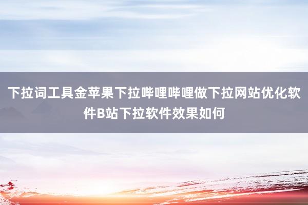 下拉词工具金苹果下拉哔哩哔哩做下拉网站优化软件B站下拉软件效果如何