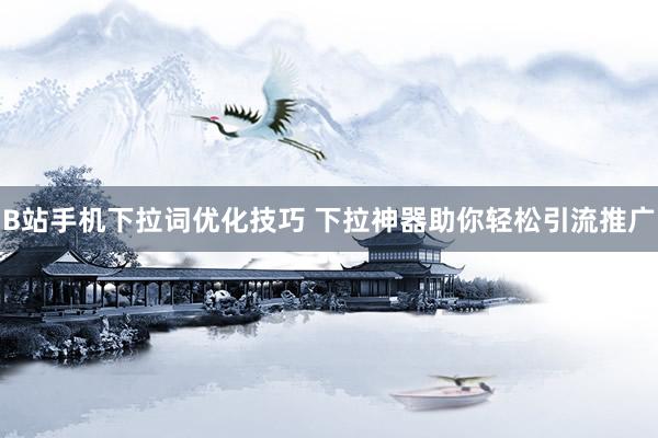 B站手机下拉词优化技巧 下拉神器助你轻松引流推广