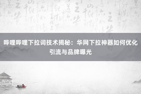哔哩哔哩下拉词技术揭秘：华网下拉神器如何优化引流与品牌曝光