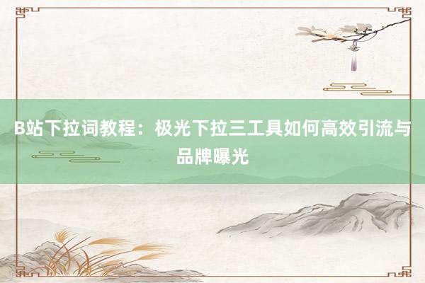 B站下拉词教程：极光下拉三工具如何高效引流与品牌曝光