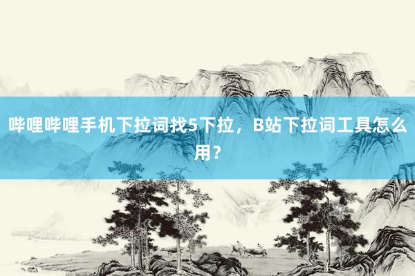 哔哩哔哩手机下拉词找5下拉，B站下拉词工具怎么用？