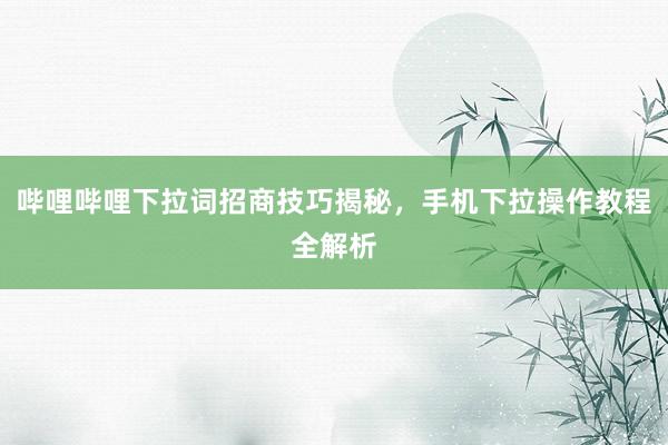 哔哩哔哩下拉词招商技巧揭秘，手机下拉操作教程全解析