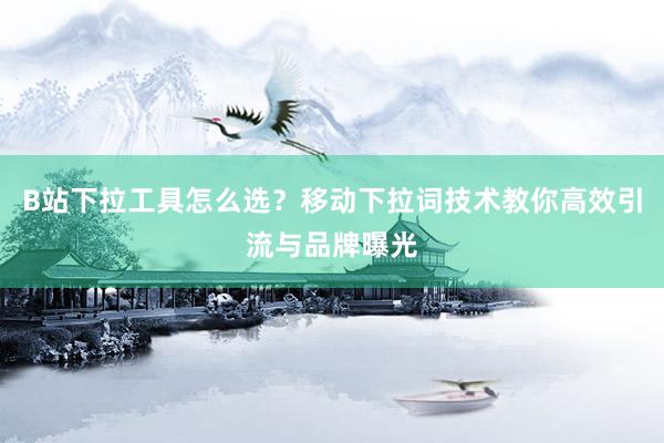 B站下拉工具怎么选？移动下拉词技术教你高效引流与品牌曝光