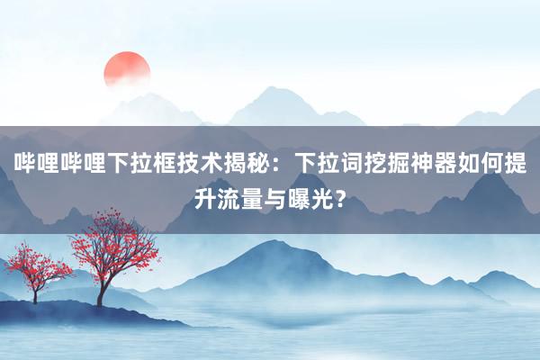 哔哩哔哩下拉框技术揭秘：下拉词挖掘神器如何提升流量与曝光？