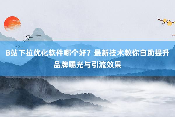 B站下拉优化软件哪个好？最新技术教你自助提升品牌曝光与引流效果