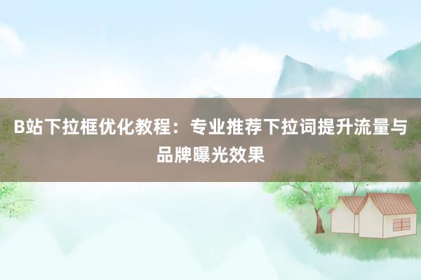 B站下拉框优化教程：专业推荐下拉词提升流量与品牌曝光效果