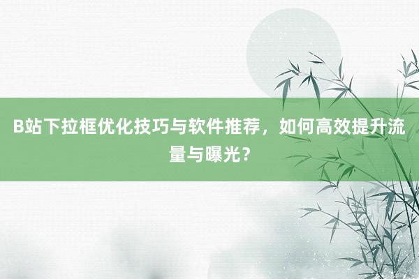 B站下拉框优化技巧与软件推荐，如何高效提升流量与曝光？