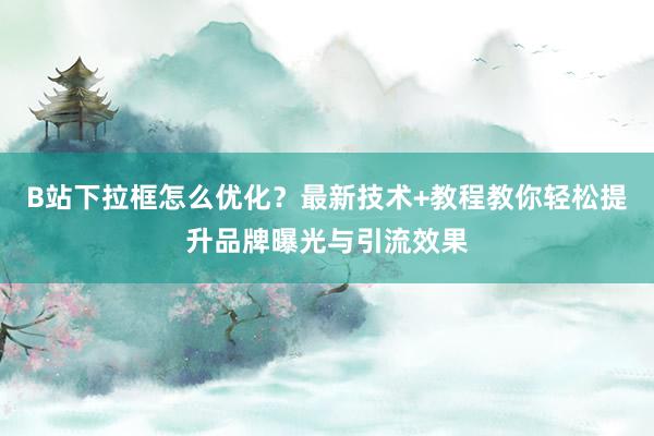 B站下拉框怎么优化？最新技术+教程教你轻松提升品牌曝光与引流效果