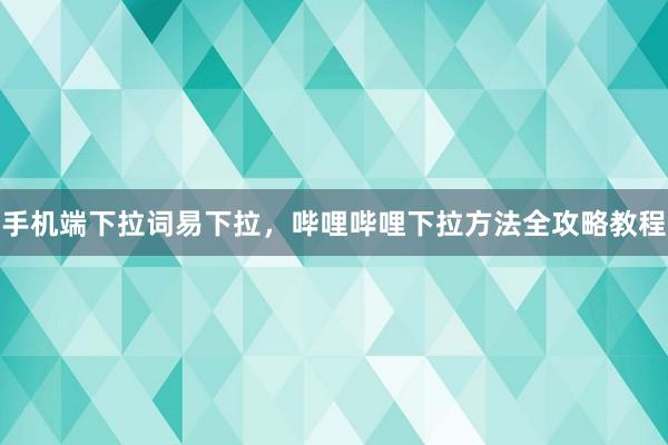 手机端下拉词易下拉，哔哩哔哩下拉方法全攻略教程