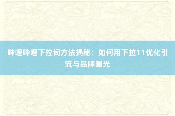 哔哩哔哩下拉词方法揭秘：如何用下拉11优化引流与品牌曝光