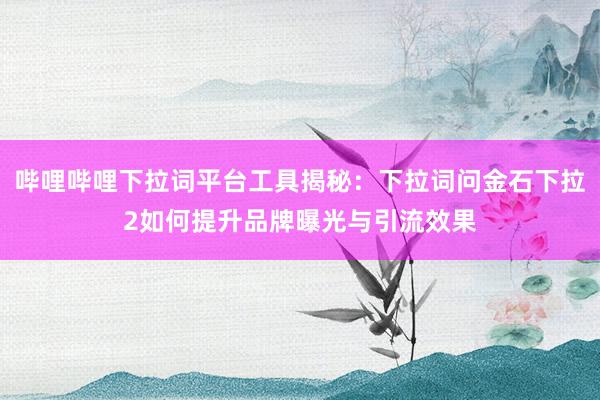 哔哩哔哩下拉词平台工具揭秘：下拉词问金石下拉2如何提升品牌曝光与引流效果