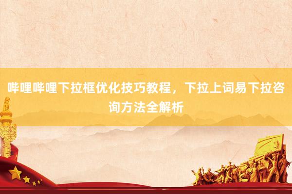 哔哩哔哩下拉框优化技巧教程，下拉上词易下拉咨询方法全解析
