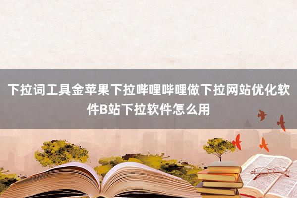 下拉词工具金苹果下拉哔哩哔哩做下拉网站优化软件B站下拉软件怎么用