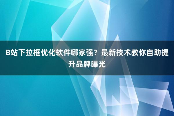 B站下拉框优化软件哪家强？最新技术教你自助提升品牌曝光