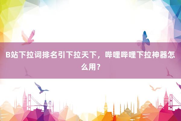 B站下拉词排名引下拉天下，哔哩哔哩下拉神器怎么用？