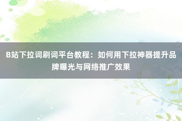 B站下拉词刷词平台教程：如何用下拉神器提升品牌曝光与网络推广效果